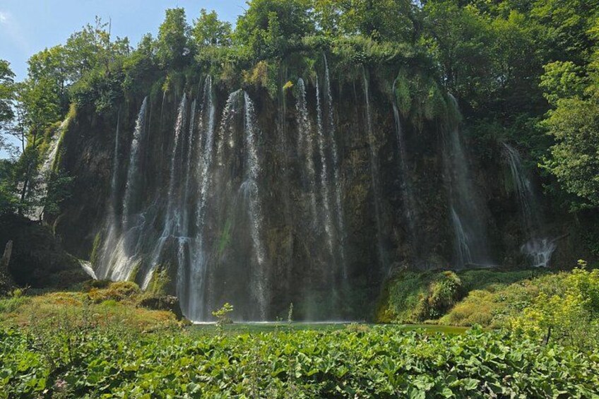 Una cascada se precipita por un acantilado rodeado de abundante vegetación. 5