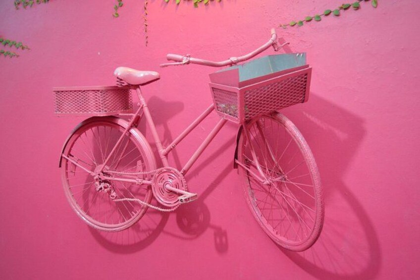 A pink bicycle with a basket against a pink wall. 5