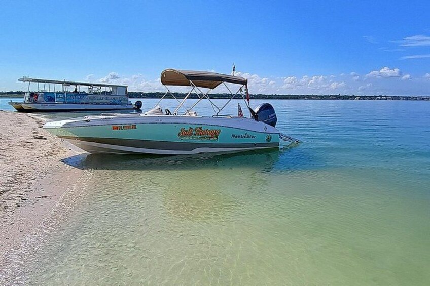 Private Clearwater boat tours with Captain Clearwater on Salt Therapy. USCG Master Captain, small groups, dolphins, sandbars, islands, and smooth sunset rides. Boat Like a Local. 2