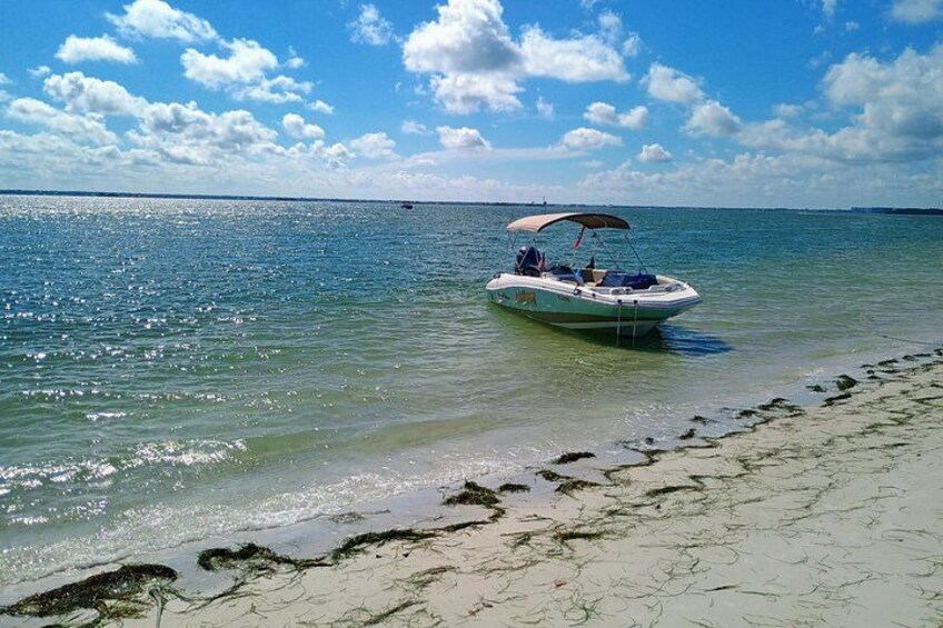 Private Clearwater boat tours with Captain Clearwater on Salt Therapy. USCG Master Captain, small groups, dolphins, sandbars, islands, and smooth sunset rides. Boat Like a Local. 5