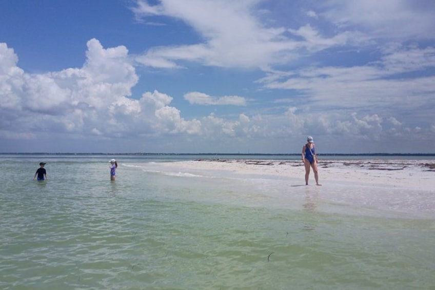 4-Hour Private Island Escape – Islands & Dolphins 4