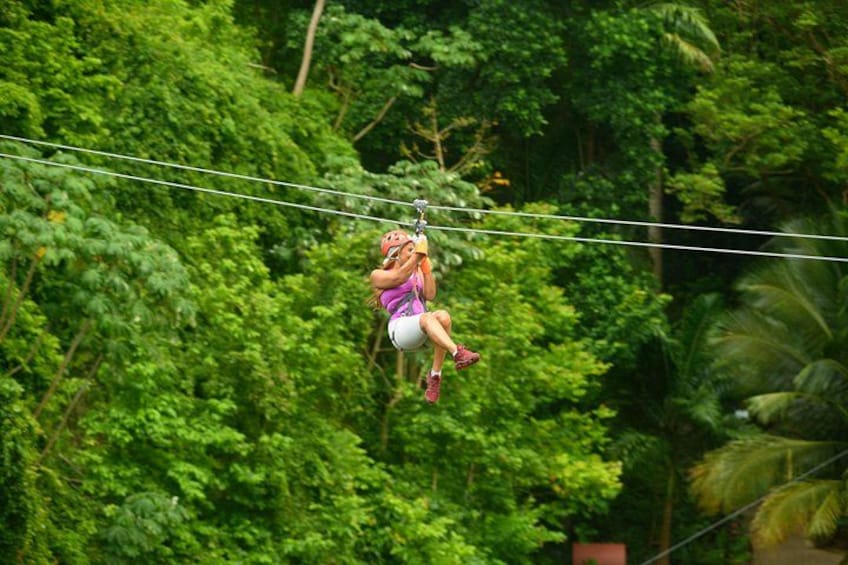 Monkey Zipline 4