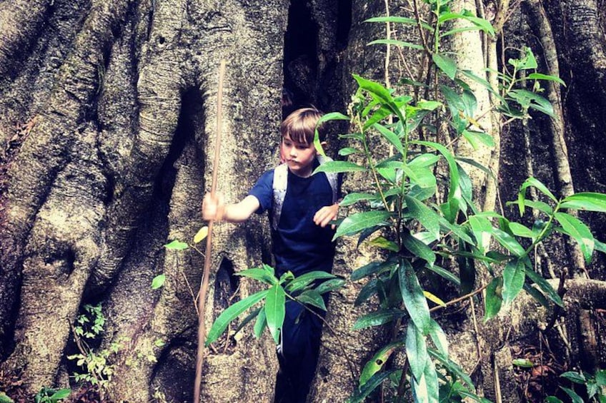 A person standing in front of a large tree with a stick. 1