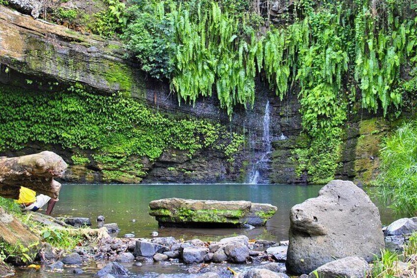 Surrounded by dense vegetation, this natural wonder exudes an aura of tranquility and spirituality.
The Sacred Waterfall, a place of prayer and meditation, holds a special place for Malagasy people. 4