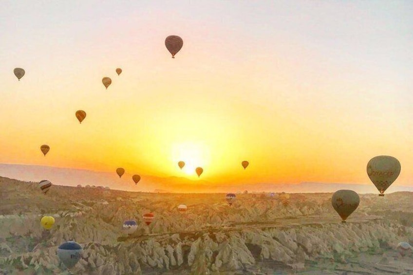 Hot air balloons over a field at sunset. 3
