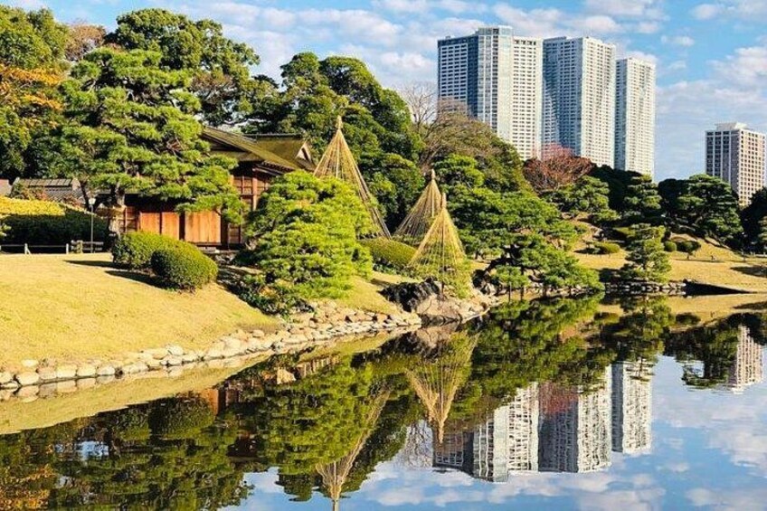 Hamarikyu Gardens (example) 3