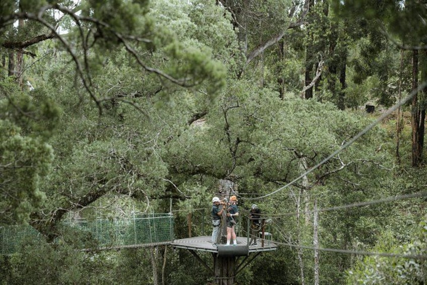 Tsitsikamma Canopy Tour 3