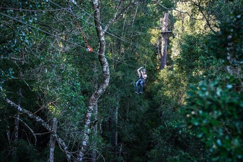 Una persona deslizándose en tirolesa por un bosque frondoso, con árboles y una estructura de madera al fondo. 4