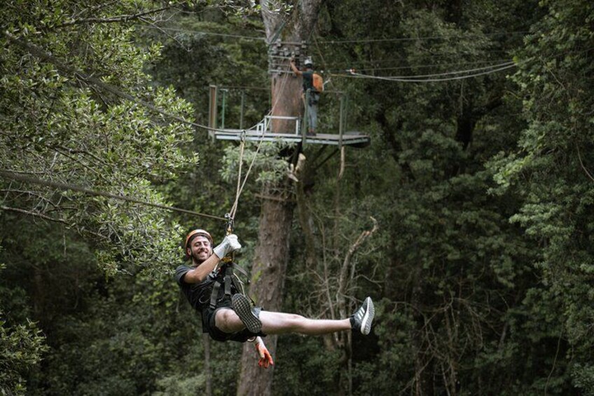 Tsitsikamma Canopy Tour 2