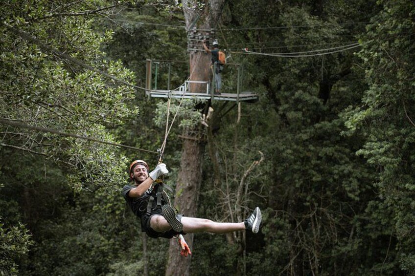 Tsitsikamma Canopy Tour 2