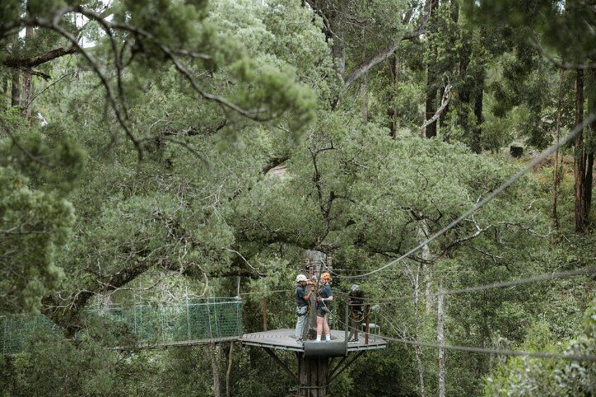 Tsitsikamma Canopy Tour 3