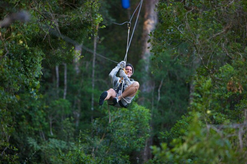 Tsitsikamma Canopy Tour 1