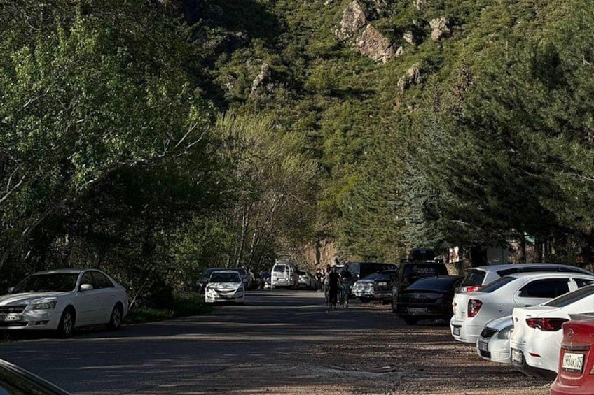 A parking lot with cars, trees, and a mountainous background. 5