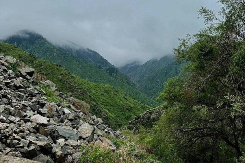 A mountainous landscape with a rocky path and dense green vegetation. 2