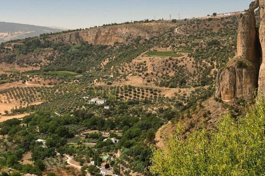 Field of Ronda 2