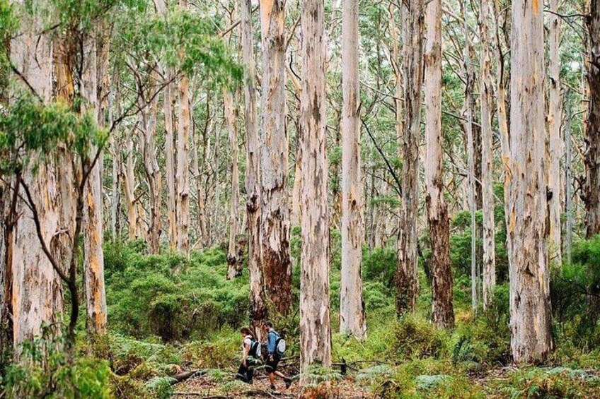Margaret River Getaway 2 Day Tour 2