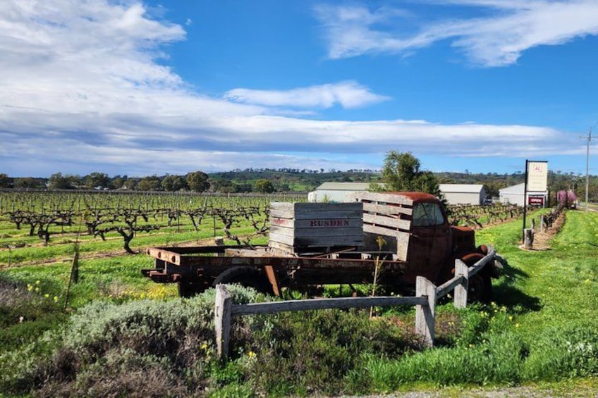 A vintage truck parked in a vineyard with a wooden trailer, surrounded by lush greenery and a clear sky. 4