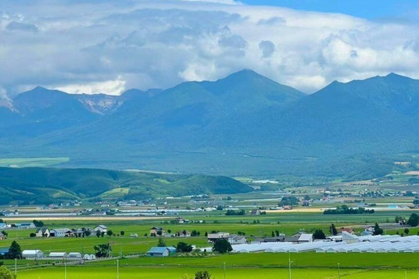 Hokkaido Farm Tomita Shikisai Hill Waterfall& Blue Pond Day Tour 5