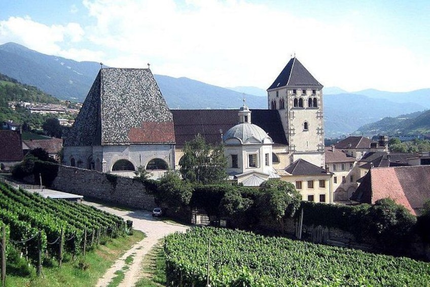 A vineyard, a church with a bell tower, and mountains in the background. 3