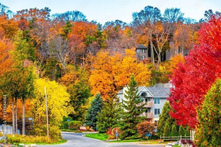 A residential area with autumn-colored trees, a house, and a road. 4