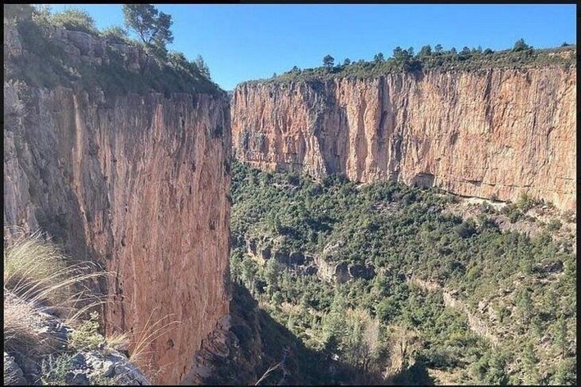 A canyon with steep cliffs and dense vegetation. 4