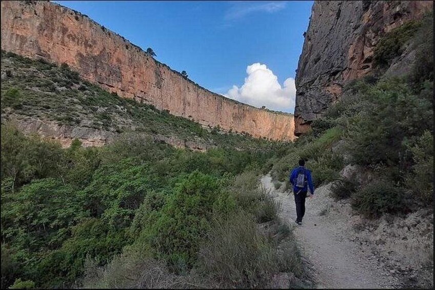 A person hiking on a narrow trail surrounded by green vegetation and rocky cliffs. 5