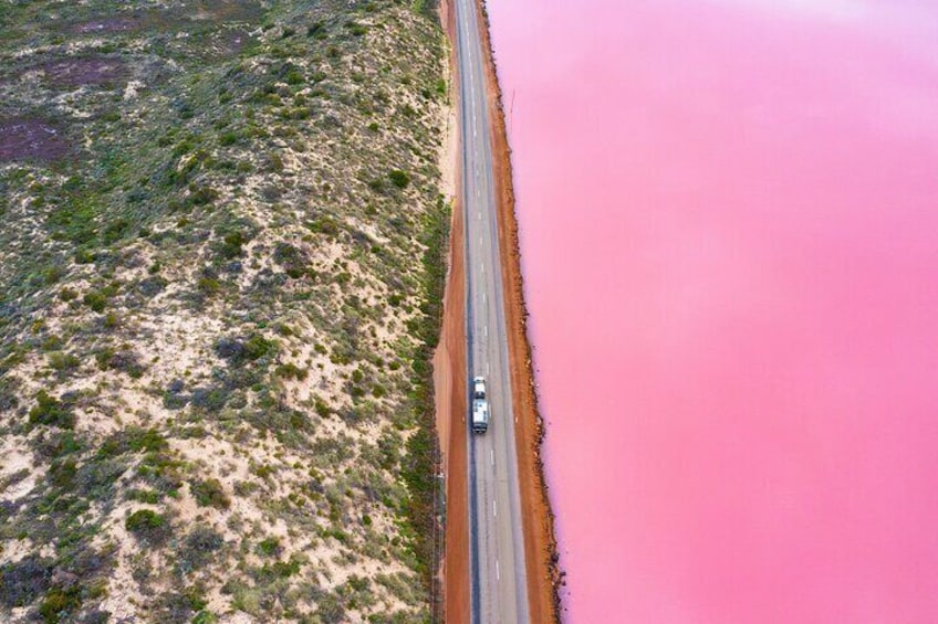 Pink lake Tour 1
