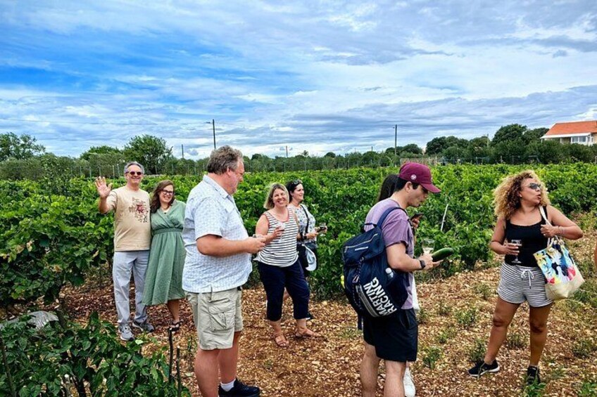 Un groupe de personnes se promène dans un vignoble. 3