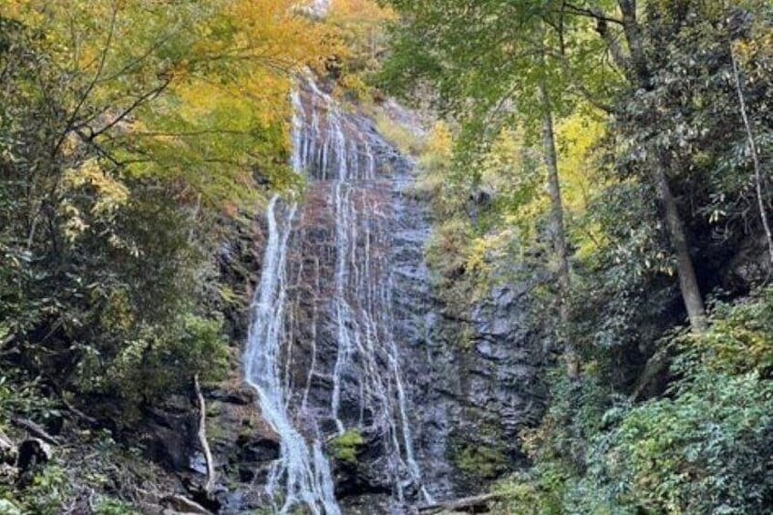 Smoky Mountain Elk & Waterfall Jeep Tour 4