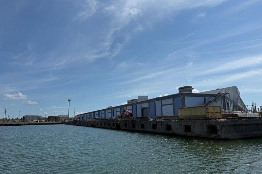 Galveston Historical Harbor Cruise with Dolphins 3