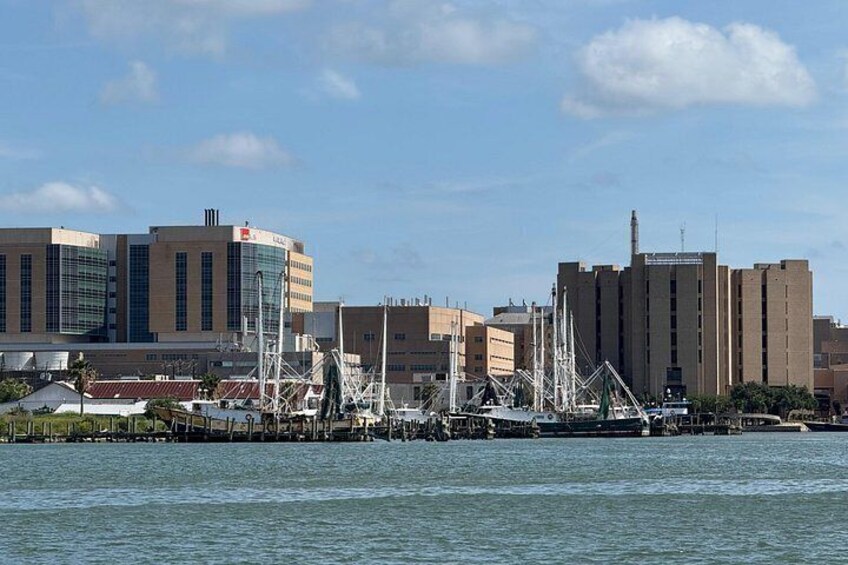 Galveston Historical Harbor Cruise with Dolphins 5
