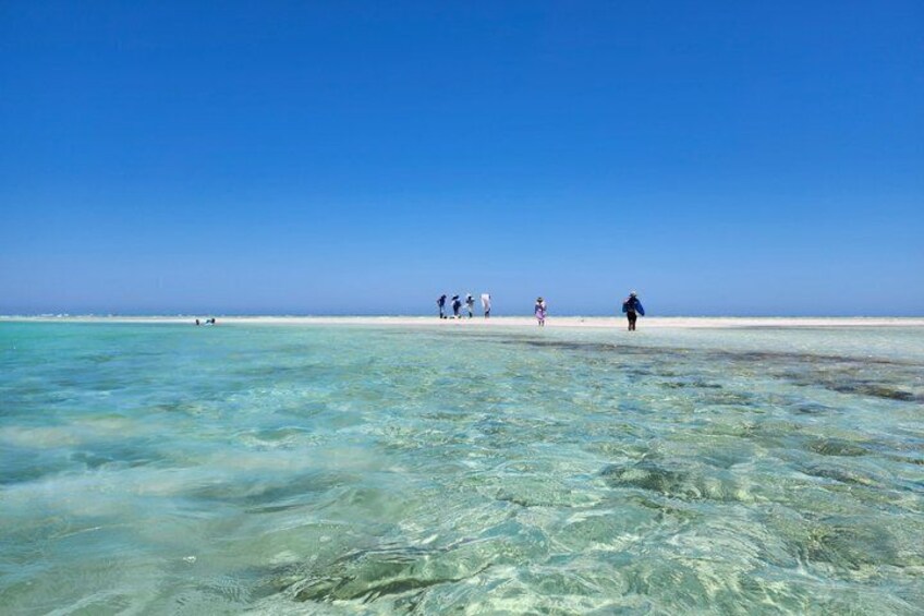 Check-out from Djerba: Escape to Paradise from Hessi Jerbi in Zarzis 5