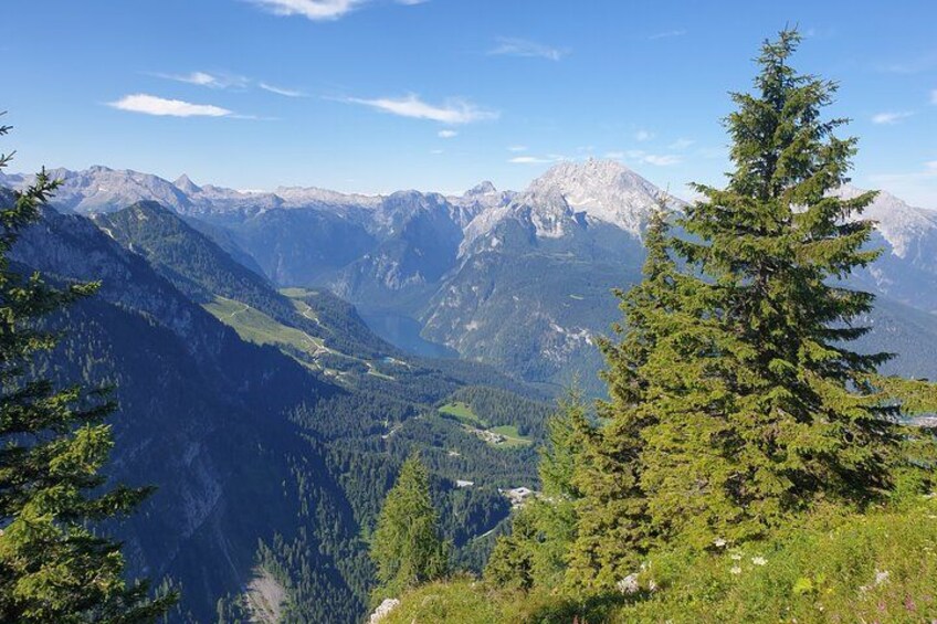 A mountain landscape with coniferous trees, a valley, and distant snow-capped peaks. 3