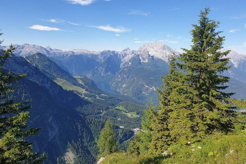 A mountainous landscape with dense forests, a prominent evergreen tree, and distant snow-capped peaks. 2