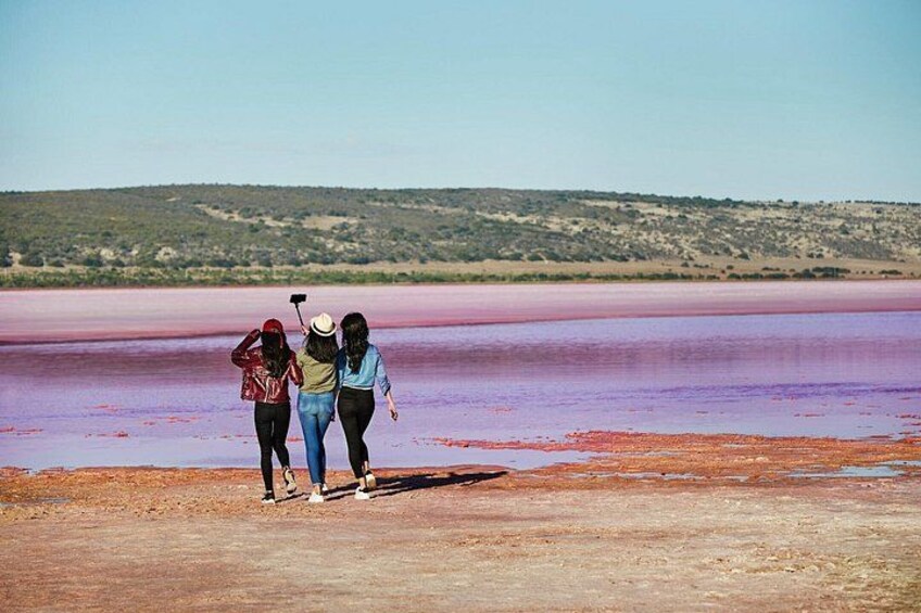 Pink Lake 2