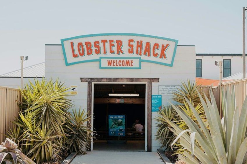 A Lobster Shack with a welcoming sign, surrounded by large plants. 4