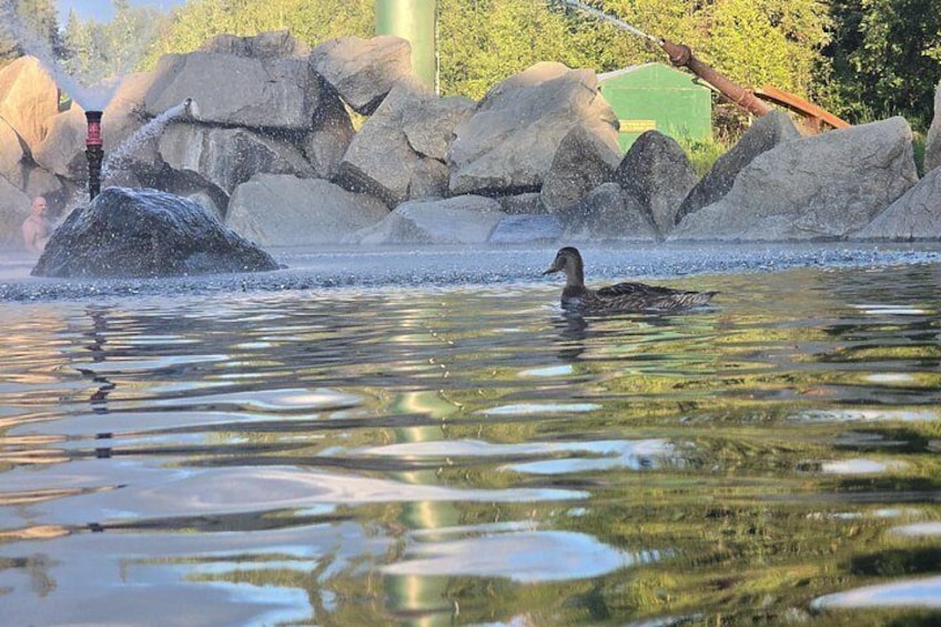 Midnight Sun Magic Chena Hot Springs Soak and Ice Museum Tour 2