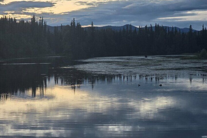 A calm lake with reflections of trees and mountains, surrounded by a forest. 4