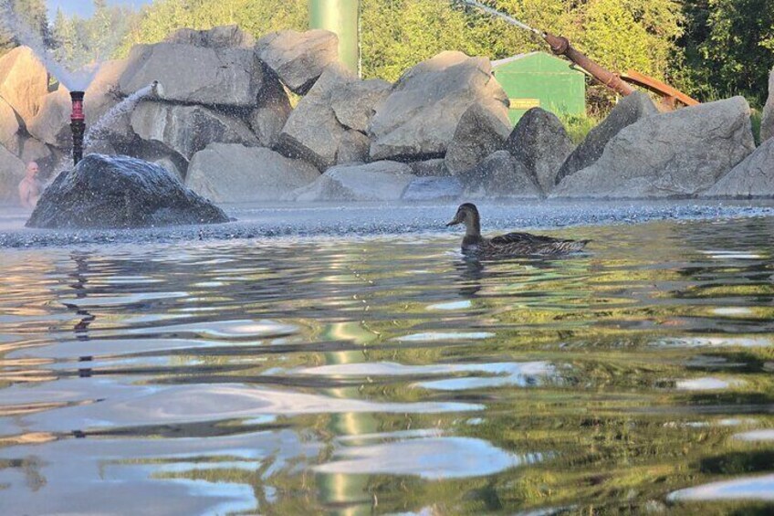 Midnight Sun Magic Chena Hot Springs Soak and Ice Museum Tour 4