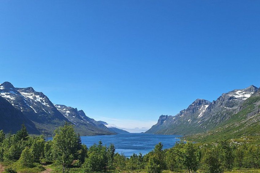 Paesaggio montuoso con un lago e una fitta foresta. 1