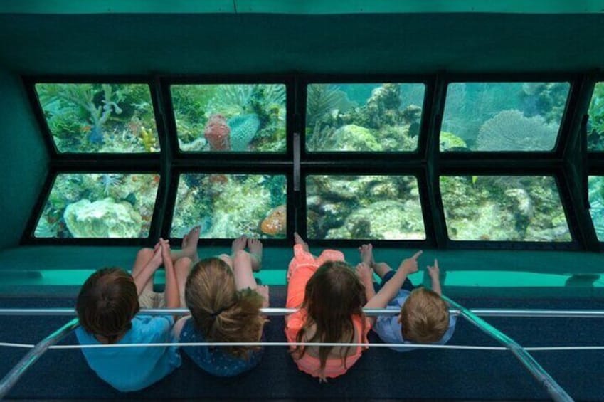 Kinder sitzen auf einer Bank und blicken auf ein Aquarium. 1