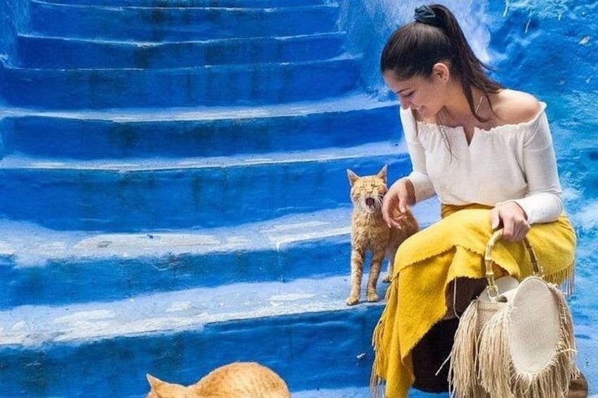 A person sitting on blue steps with a dog, holding a straw hat. 1