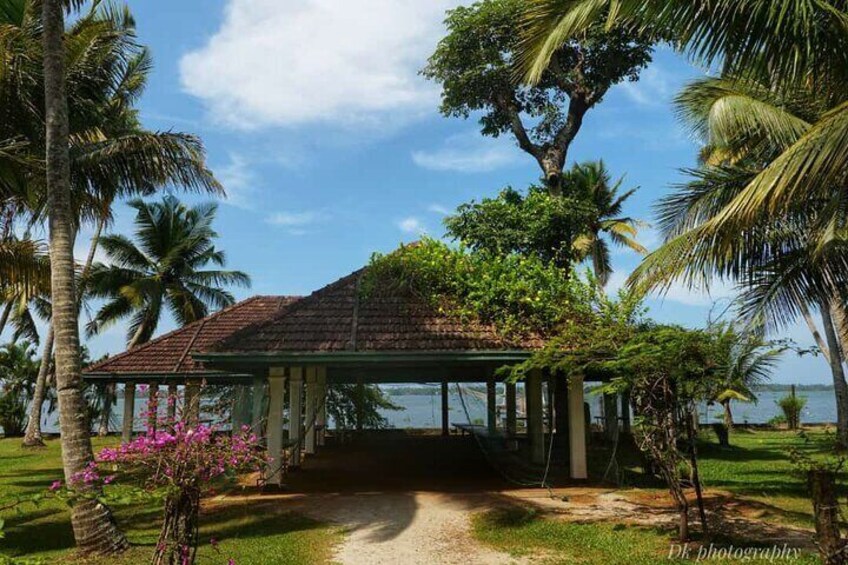 A covered pavilion with a tiled roof, surrounded by palm trees and a grassy area. 4