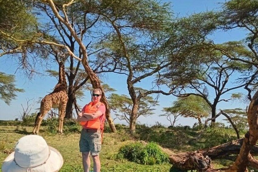 A person standing in a savannah landscape with acacia trees and giraffes. 5