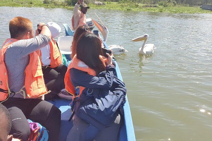 A group of people in a boat wearing life jackets, observing pelicans in the water. 2