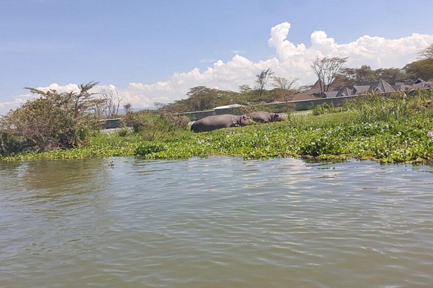A river with water lilies, a grassy bank, and a distant view of a village with huts. 4