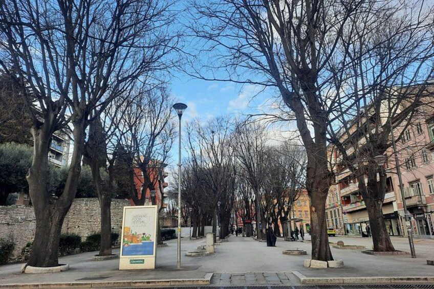 Giardini street 5
