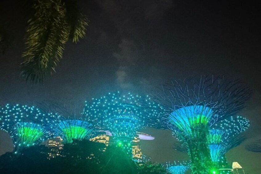 Singapore River Cruise, Night Garden Rhapsody & Spectra By CYT 5