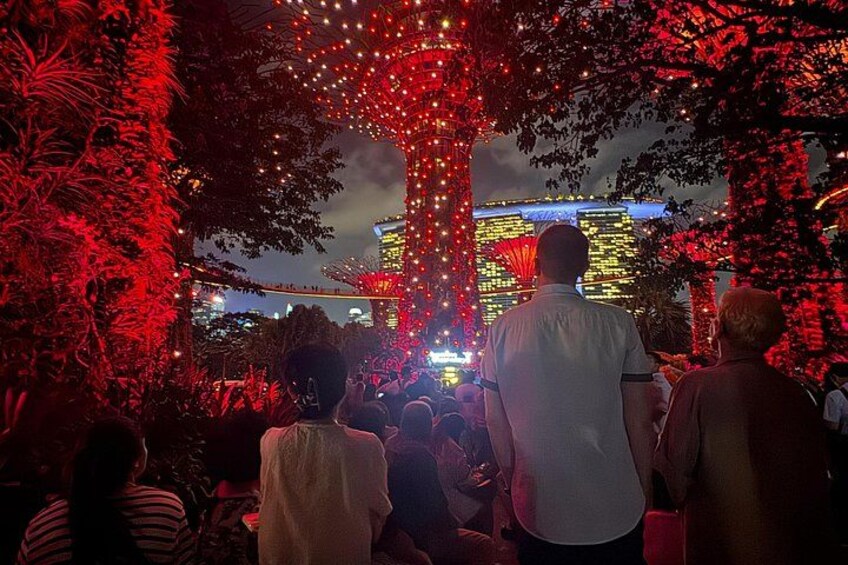 Singapore River Cruise, Night Garden Rhapsody & Spectra by CYT 4