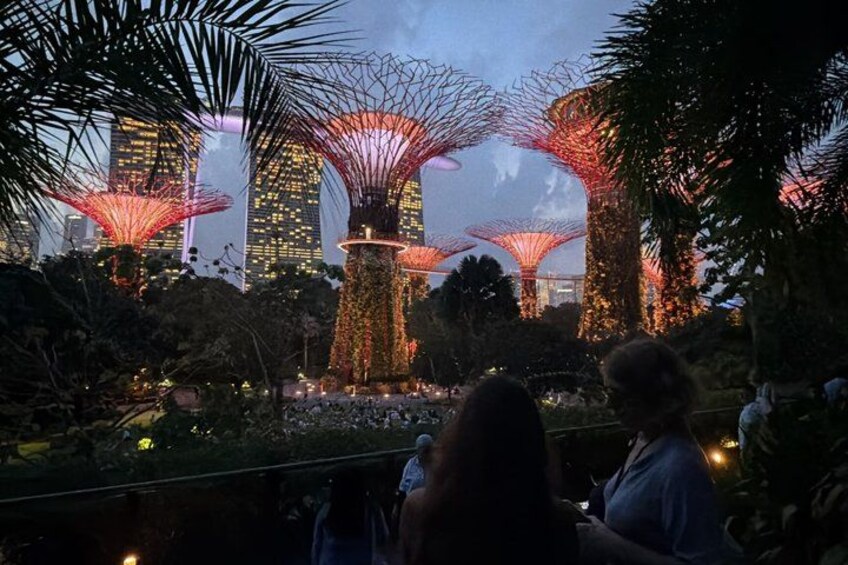 Un jardin agrémenté de structures illuminées qui évoquent les cimes des arbres, un plan d’eau et, en arrière-plan, une vue sur les bâtiments d’une ville. 4